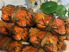 -水岸居湖景农家乐·阳澄湖大闸蟹