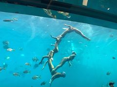 -瑞德姆美人鱼海底演艺主题餐厅(亚龙湾店)