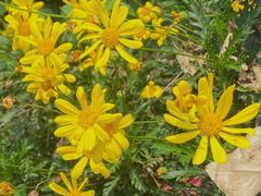 -剪刀石头布家居广场