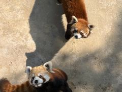 -杭州野生动物世界