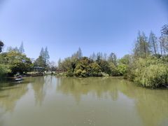 -上海滨江森林公园