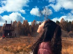 -塞罕坝国家级自然保护区