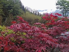-太阳湾风景区