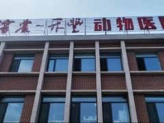 -派美特宠物医院·核磁CT·骨科肿瘤·疑难转诊(沈农禾丰店)