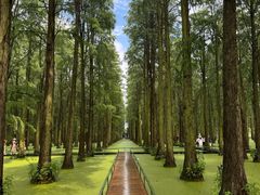-渌洋湖湿地公园