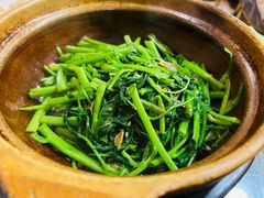 -熠盛粤味·顺德桑拿鸡(永康路店)