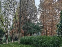 -习家池