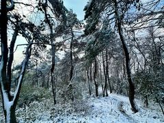 -莫干山风景区