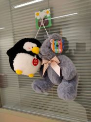 -杭州贝瑞斯美华妇儿医院·早孕·产检·儿科