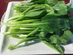 -老友记海景餐厅