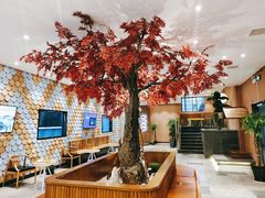 -韩京炭火烤肉自助料理(柯桥万达店)