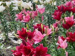 -长春公园(普阳街道)