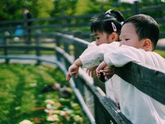 -前小桔亲子创意农场·草莓采摘·露营烧烤