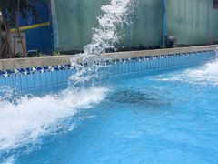 -重庆海昌加勒比海水世界