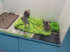 -乐宠宠物店(世纪金源店)