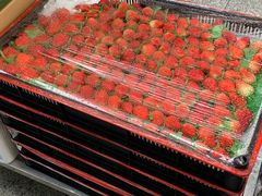 -古茗(丰泽中骏世界城)