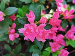 -白塘生态植物园