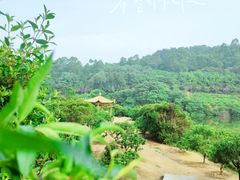 -南国桃园旅游度假区