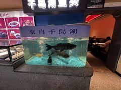 -鸽子侯·家宴·平价海鲜(市图书馆店)