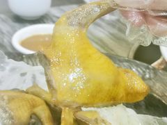 -鸽鸟轩(石岐店)