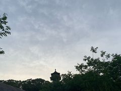 -上海佘山国家森林公园天马山园