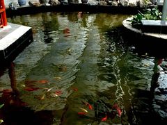 大厅-龙凤山庄(永定镇店)