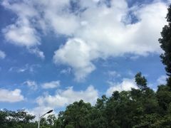-火炉山森林公园
