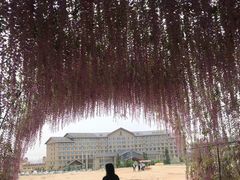 -长城西部影视城