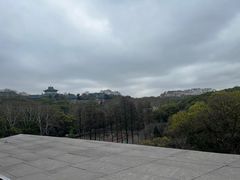 -武汉大学-樱园