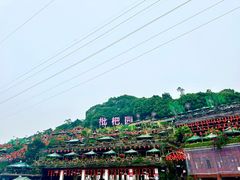 -枇杷园食为鲜火锅(南山店)