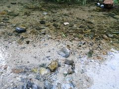 -碓臼峪自然风景区