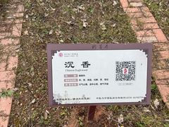 -马王堆汉墓遗址
