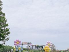 -黄海国家森林公园