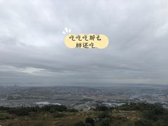 -大姆山草场