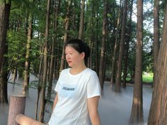 -东湖落雁景区