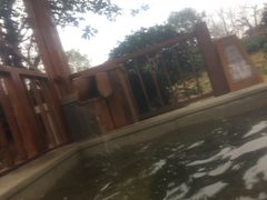 -思念果岭悦温泉