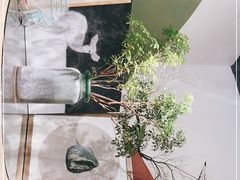 -Catch Bagel(芳草地店)