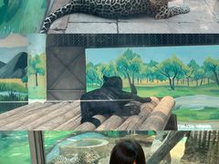 -昆明动物园