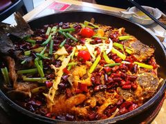 -老板恋上鱼(恒隆广场店)