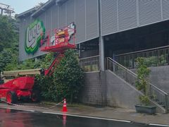 -圣淘沙天际线斜坡滑车