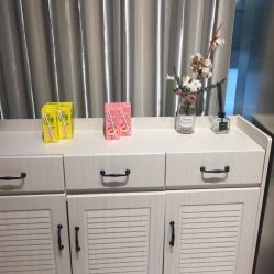 -三只熊皮肤管理中心