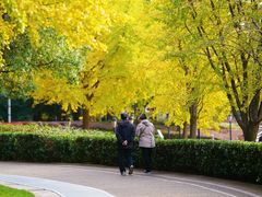 -苏州河梦清园环保主题公园