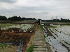 -中国天府农业博览园