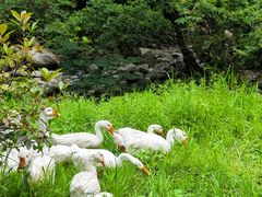 -安徽天堂寨风景区