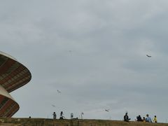 -光明小镇欢乐田园