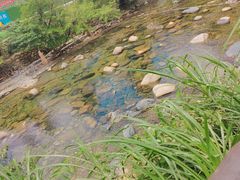-石台牯牛降景区