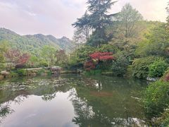 -中国茶叶博物馆(双峰馆区)