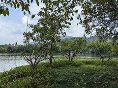 -森波拉奇妙世界