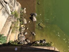 iphone_upload_pic-圆通禅寺