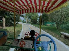 -中国扬子鳄村